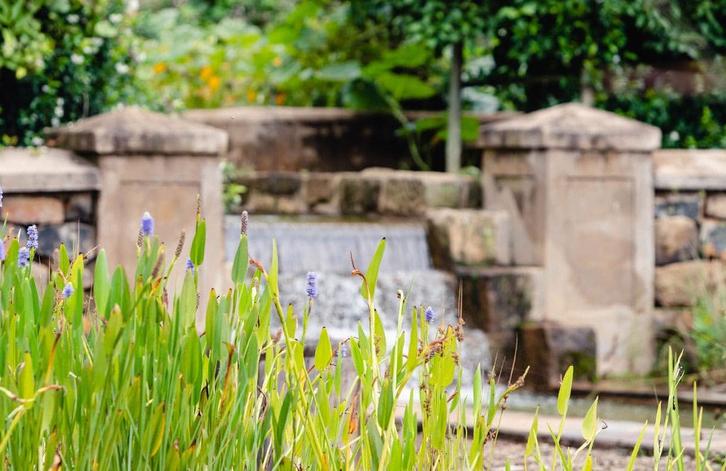 Gardens-Hartford-House